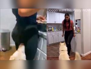Bestial sex video: woman subdues her dog