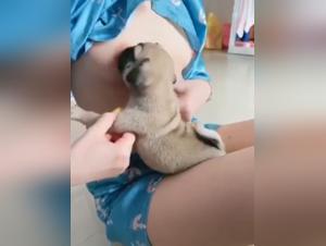 Bestial encounter: woman and dog