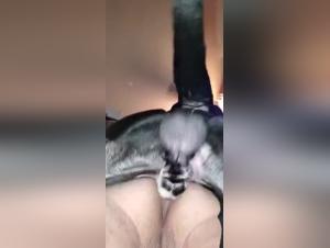 Dog fucking lesbians get really messed up with their dogs