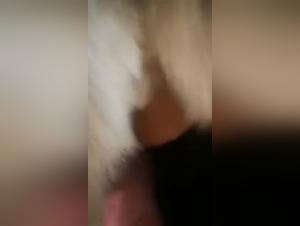 Unique Bestiality Videos - Contact QQ1754959986