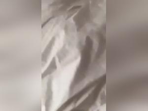 Teen Fickt Hund - Tier-Sex Hardcore