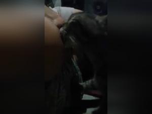 Bestiality sex video: feeding the kitten 2