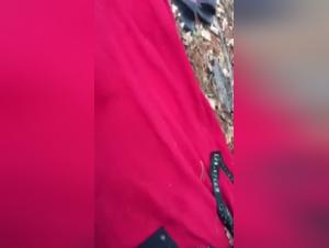 Bestiality: A Teenager and Her Dog