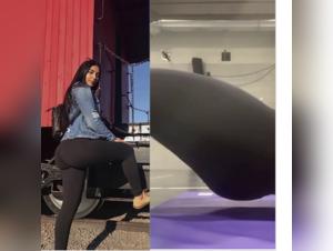 Perla and her bestial adventure