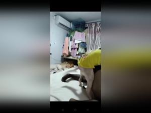 Perra Bañada Por Dog Salvaje