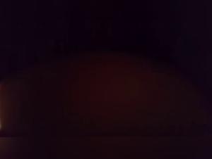 Bestiality: Woman and dog