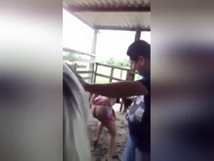 Zoophile Insatié : Baise Cheval Féroce, Tabou Brisé