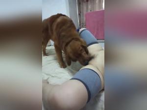 Dog fucks an Asian woman