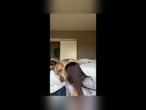 Brazilian model and her Great Dane