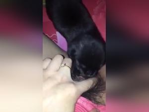 Forbidden Meeting: Woman and Dog