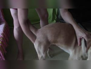 Jesse - Baila con Perro Parte 3