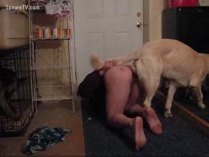 Intimate Video with a Dog