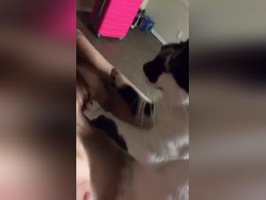 Forbidden Desires: Exploring the Realm of Zooporn