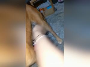 virgin teen suce son chien avec fougue