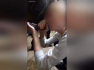 Bestiality with Horses: Banned Videos