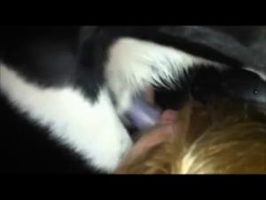 Amateur Housewife and Her Dog - Zoophilia Video