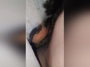 Cow pussy fucks dog extreme