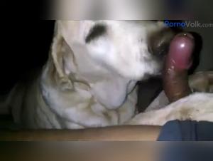 Frau mit Hund - Erotik Video Hardcore