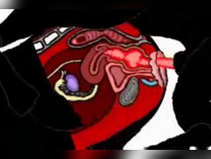 Bestial Encounter: Woman and Dog