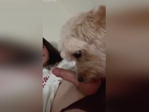 trans licking dog, extreme bestiality