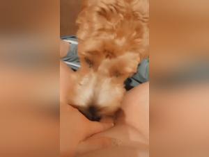 Bestiality sex video with a woman and her dog