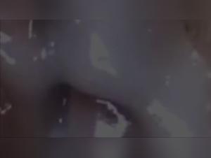 Bestiality Sex Video: An Extreme Experience