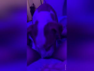 Video of Sex with a Dog