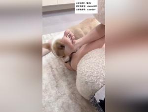 Mujer fola perro, vídeos XXX extremas