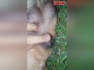 Bestiality: a woman and a horse