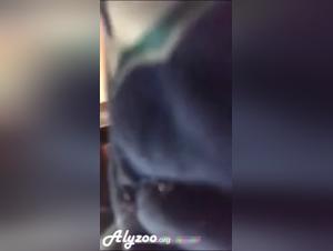 mutter spielt mit hund, wilder sex
