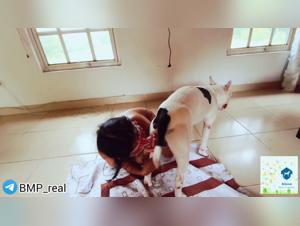 Lina Dog Sex Ecstasy