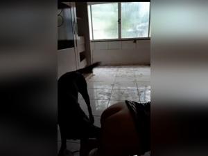 a good lick with a dog