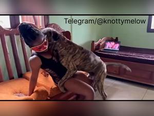 Hentai-PMV-Reaktion: Hund verschlingt leichtes Opfer