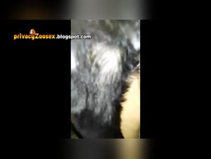 Zoophilie : Ma femme et notre chien K9