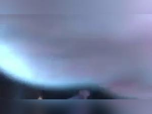 Sex videos with animals on Artofzoo