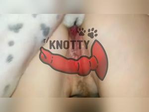 La puttana e il suo cane: una storia di zoo-fap con un cane con prostata gonfiata