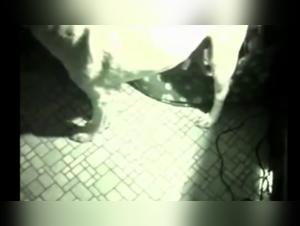 ArtOfZoo Unveiled: A Forbidden Fantasy Exposed