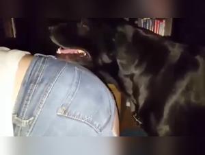 baise chien latina jeans