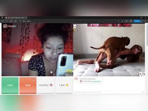 bestialite canine : sexe sauvage et interdit