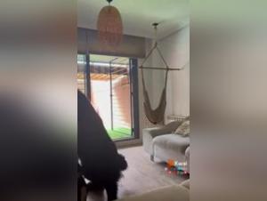 Bestial encounter: woman and dog