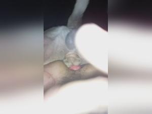 Forbidden Encounter: Man and Dog