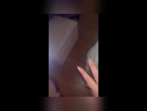 Pushing Boundaries: Art & Bestiality