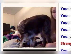 Zoophilia Videos Compilation - The Best Sex Scenes With Dogs