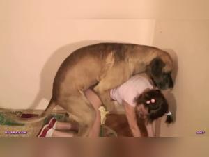 Tiersex - K9Lady Hermes, Teil 1