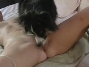 Woman Tied and Submissive to Sex with a Dog