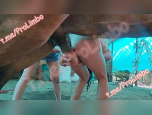 Forbidden Desires: Exploring Animalistic Urges