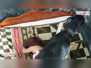 Animal Fucking in a Tube: A Raunchy Experience