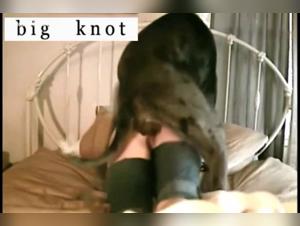 Bestiality sex video: Hard pounding with a dog