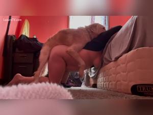 Delving into the Bestialzoo Realm