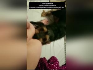 Forbidden meeting: woman and dog